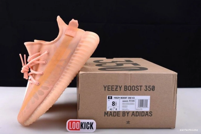 Yeezy Boost GW2870 
